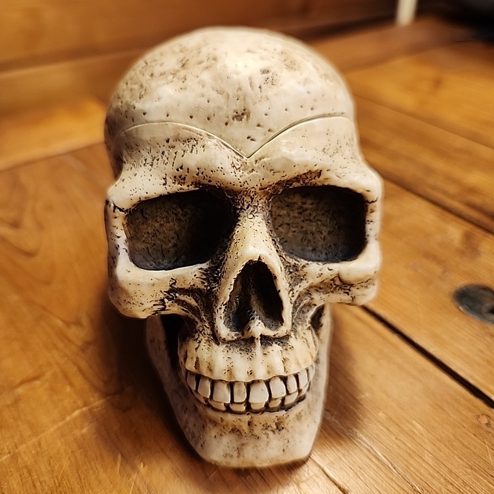Vintage Skull Ashtray Trinket Removeable Cranium Figural Hidden Secret Sneaky